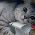 Окончание отопительного сезона 2019-2020