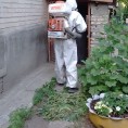 Санитарная обработка подвального помещения по адресу Победы 23