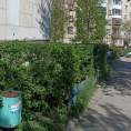 Декаротивная опиловку кустов