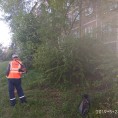 Дело есть у нас -  В самый жуткий час  Мы волшебную  Косим трын-траву!
