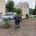 По инициативе председателя МКД по адресу 8 марта 153 выполнено озеленение придомовой территории