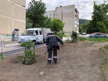По инициативе председателя МКД по адресу 8 марта 153 выполнено озеленение придомовой территории