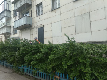 Декоративная обрезка кустов Автозаводцев 49