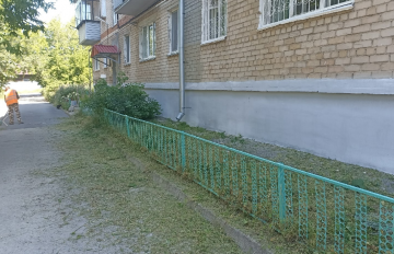 Скос травы👍🏻🌿
