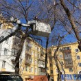 📌Проведение опиловки и утилизация отходов по адресу Автозаводцев 39