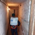 Дезинсекция подвальных помещений