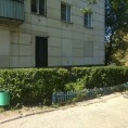Декоративная обрезка кустов