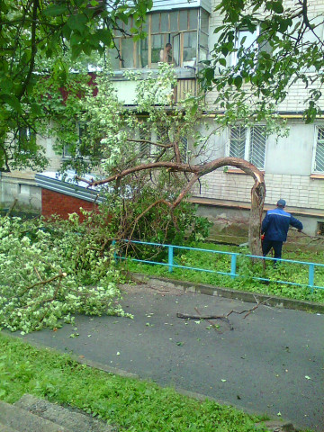 Устранение последствий урагана
