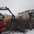 Вывоз веток после проведенных опиловок🌳
