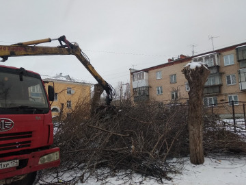 Вывоз веток после проведенных опиловок🌳