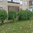 Скос травы и обрезка кустов