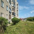 Покос травы и декоративная обрезка кустарников по адресу Ильменская 94🙂