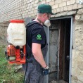 Проводим сан.обработку подвалов силами специализированной организации