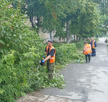 Скос травы