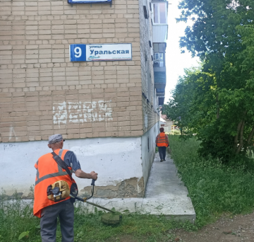 Первичный скос травы