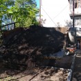 Завоз грунта для посадки цветов