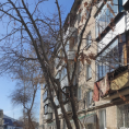 Опиловка деревьев