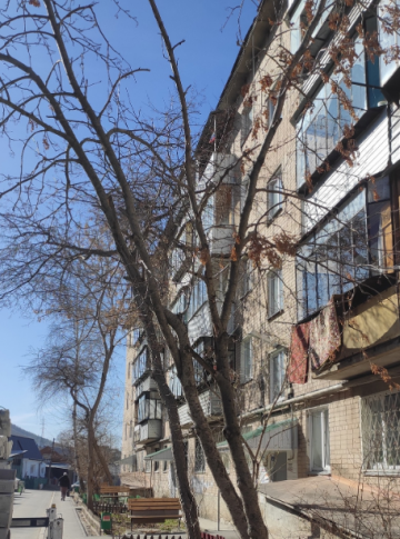 Опиловка деревьев