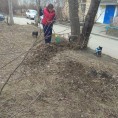 А у нас субботник! 