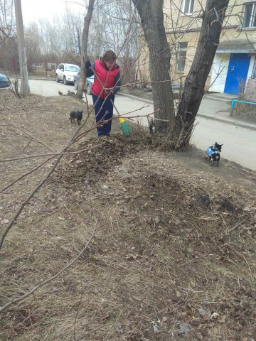 А у нас субботник! 